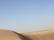 DAILY PHOTO: Dunes