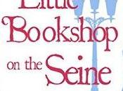 Little Bookshop Seine Rebecca Raisin- Feature Review
