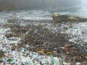 Population Matters World’s Oceans