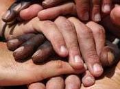 Jennifer Haselberger's Affidavit Paul-Minneapolis Archdiocesan Bankruptcy Case: Question Equity Fairness" Grounded Corporatist Tradition Catholic Theology Ecclesiology