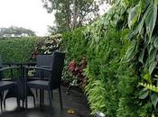 Affordable, Attractive Maintenance-free Vertical Gardens