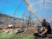 Hazelwood Urban Farms Season Spring Seedling Update