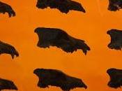 Salem's Bend Self Titled