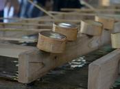 Postcard Yoyogi Park