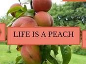 Life Peach!