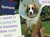 #epetsure: Comparing #PetInsurance Plans Made Easy
