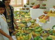 Mango Festival Delhi Tourism