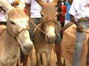 Lamu Cultural Festival