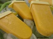 Sucettes Glacées Mangue Mango Pops Paletas Heladas مصاصات المانجو المجمدة