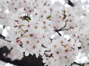 Moved Home from Hong Kong