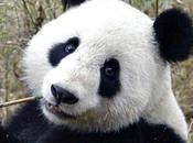 Lighten Fast Fixes Dark Under-Eye Circles