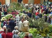 Floral Feast