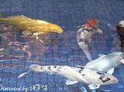 Weekly Photo: Distorted