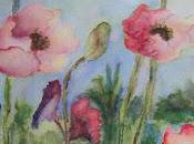 Professional Looking Postcards Price