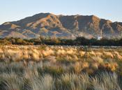 Expreso Andes Update: Challenges Abound!