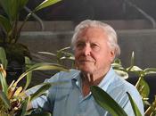 Attenborough Announces Plants Series