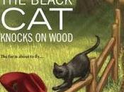 Black Knocks Wood Finch Spotlight Feature