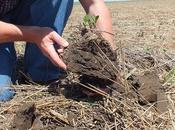 What Soil Conservation Methods