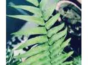 LeEco Review: Experience with