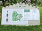 Woburn Abbey Garden Show