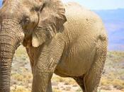 Spent Week Cape Town