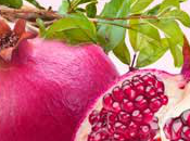 Pink Pomegranate Fragrance