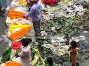 DAILY PHOTO: Mallick Ghat Flower Market