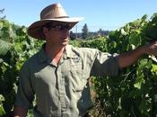 redThread™ Exclusive Conversation with Paul Sloan Small Vines Wines