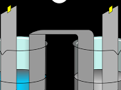 Electrolysis Electrochemical Cells Test