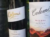 More “Wines Altitude” with Bodega Colomé