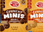 Introducing Enjoy Life Mini Cookies Gluten Free