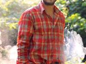 Introducing… Harvest Gather, Dinner Series