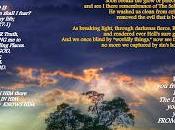 Cude: Light Salvation