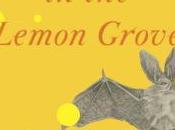Short Stories Challenge Graveless Doll Eric Mutis Karen Russell from Collection Vampires Lemon Grove