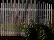 Unique Fence Ideas Small Yard