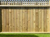 Beautiful Privacy Cedar Fence Ideas