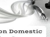 Common Domestic Plumbing Issues