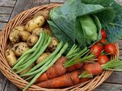 Harvest Monday August 2016