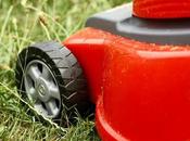 Guide Choosing Right Lawn Mower