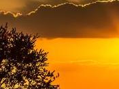 Kruger National Park South Africa