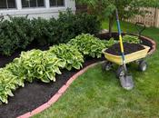 Ideas Putting Mulch Backyard