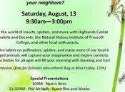 Bugs (arthropods) Among