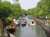 Happy 200th Birthday Regent's Canal! #LittleVenice @IWA_UK