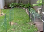 Backyard Fence Best Options