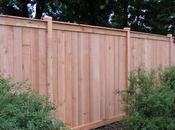 Backyard Fence Ideas Secure