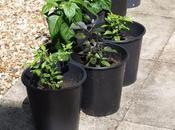 Pressing Accelerator