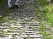 We've Ended with Donald Trump Because U.S. Churches White Ones Have Brought Theses What Church (Not) Good