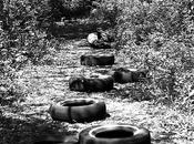 Form, Event, Text Computation