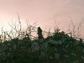 Friday Fotos: Remnants (and Friday, Fancy That!)