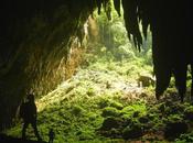 Langun Gobingob Cave: Into Monster Epic Proportions (Part